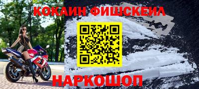 крисы Славгород