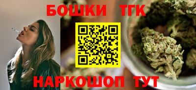 крисы Славгород